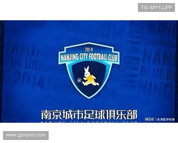 南京城市官宣刘乐杨超加盟强援