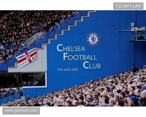 女子比赛日手册深度解读西布朗